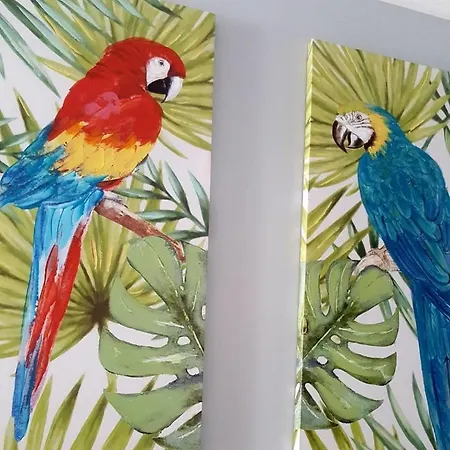 Cortadura 公寓 加的斯