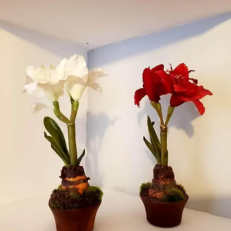 Cortadura Apartment *